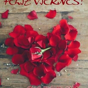 Meet your Posher, Cristina